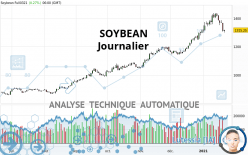 SOYBEAN - Daily