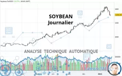 SOYBEAN - Täglich