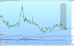 PROTARA THERAPEUTICS INC. - Giornaliero