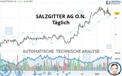 SALZGITTER AG O.N. - Täglich