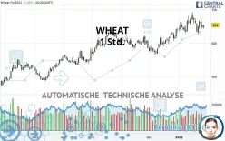 WHEAT - 1 Std.