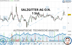 SALZGITTER AG O.N. - 1 Std.