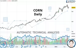 CORN - Daily