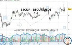 BTCUP - BTCUP/USDT - 1H