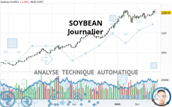 SOYBEAN - Journalier