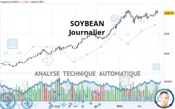 SOYBEAN - Diario