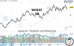 WHEAT - 1H