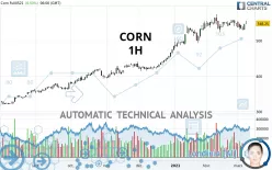 CORN - 1H