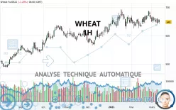 WHEAT - 1H