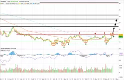 PROXIMUS - Journalier