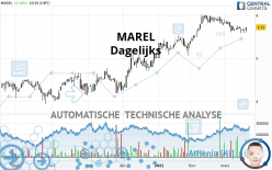 MAREL - Dagelijks