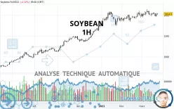 SOYBEAN - 1 uur