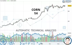 CORN - 1H