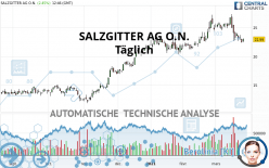 SALZGITTER AG O.N. - Täglich