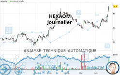 HEXAOM - Giornaliero