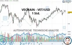 VECHAIN - VET/USD - 1 Std.