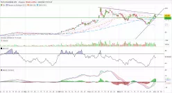 FUTU HOLDINGS LTD. - 4H