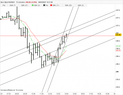 EURO BUXL FULL1224 - 15 min.