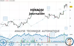 HEXAOM - Journalier