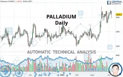 PALLADIUM - Diario