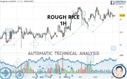 ROUGH RICE - 1H