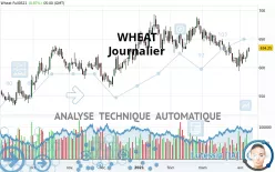 WHEAT - Journalier