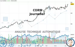 CORN - Journalier