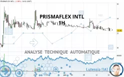 PRISMAFLEX INTL - 1H