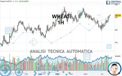 WHEAT - 1H