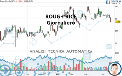 ROUGH RICE - Giornaliero