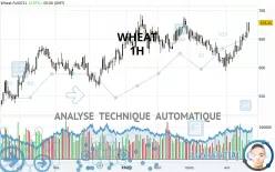 WHEAT - 1H