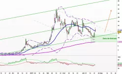 MICROVISION INC. - Diario