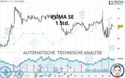 PUMA SE - 1 Std.