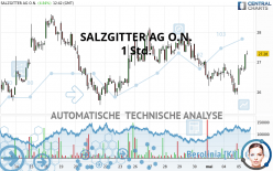 SALZGITTER AG O.N. - 1 Std.