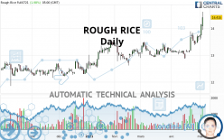 ROUGH RICE - Daily