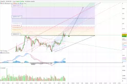 DOGECOIN - DOGE/USD - 1 Std.