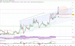 EGIDE - Daily