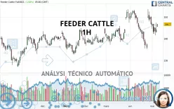 FEEDER CATTLE - 1H