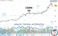 CORN - 1H