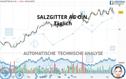 SALZGITTER AG O.N. - Täglich