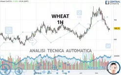 WHEAT - 1H