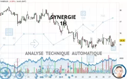 SYNERGIE - 1H