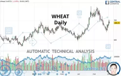 WHEAT - Daily