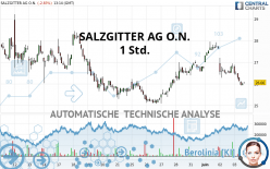 SALZGITTER AG O.N. - 1 Std.