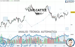 LIVE CATTLE - 1H