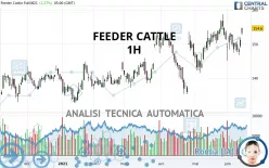 FEEDER CATTLE - 1H