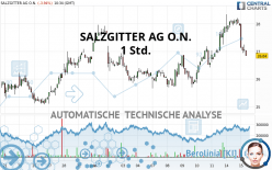 SALZGITTER AG O.N. - 1 Std.