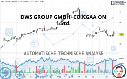 DWS GROUP GMBH+CO.KGAA ON - 1 Std.