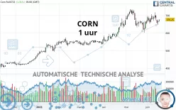 CORN - 1 uur