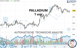 PALLADIUM - 1 uur